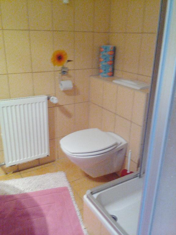 ApartmányDanielova Česká Lípa Kültér fotó